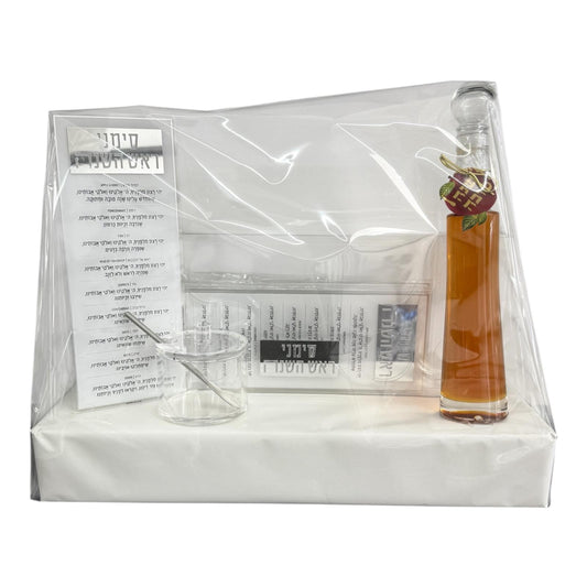 RH #4 Suspended Simanim Tray Card Set W Tall Honey - Silver